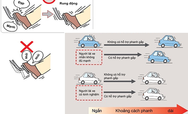 Toyota Việt Nam triển khai chương trình ưu đãi dịch vụ lên tới 20% khi thay dầu và lọc dầu cho xe Vios và Innova